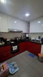 Orchid Park Condominium (D27), Condominium #537291741